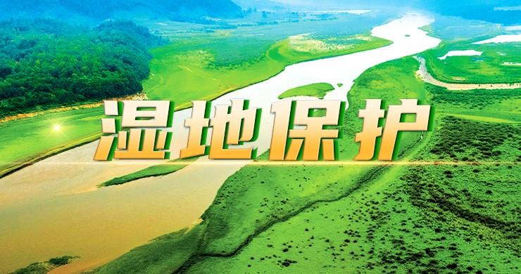 湿地保护