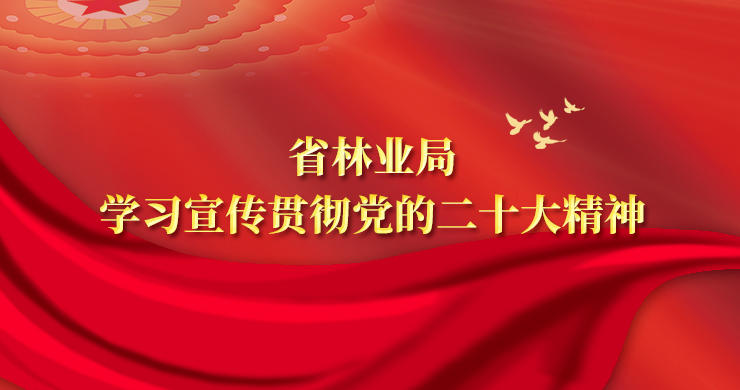 澳门新葡京官方网站学习宣传贯彻党的二十大精神