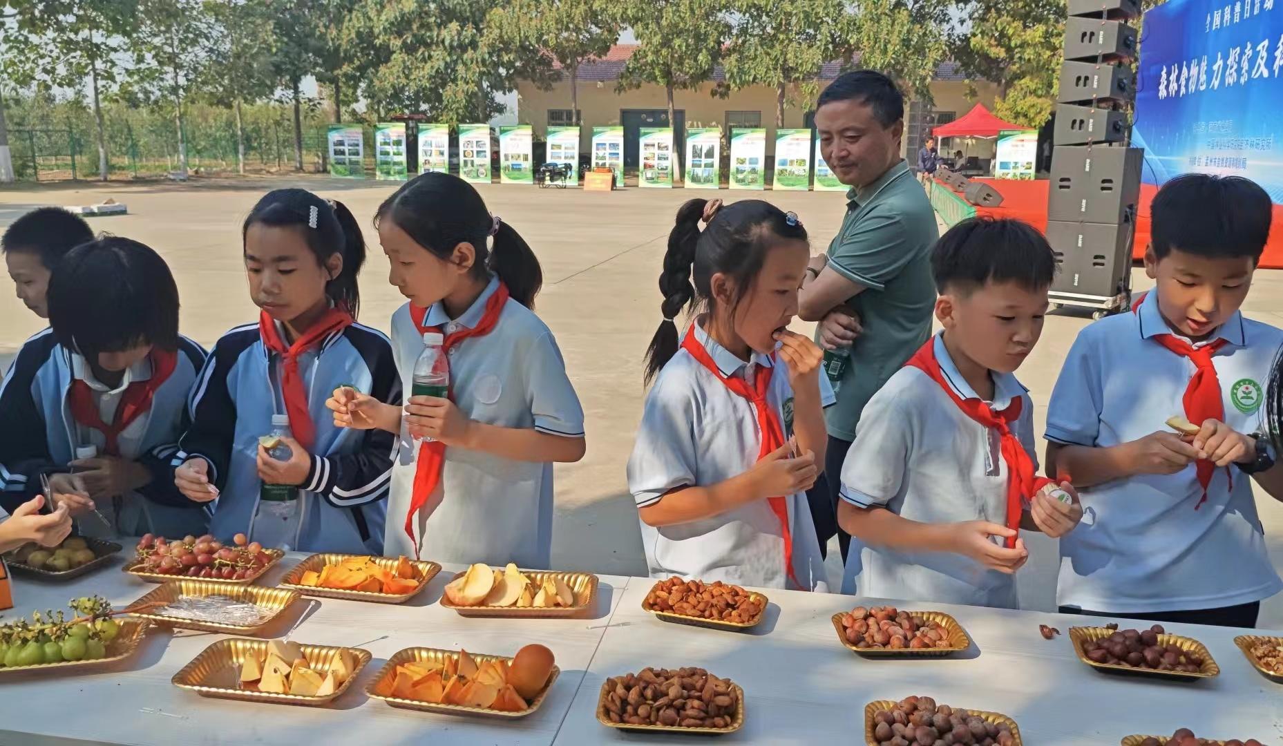 认识“森林食物” 感受科学魅力