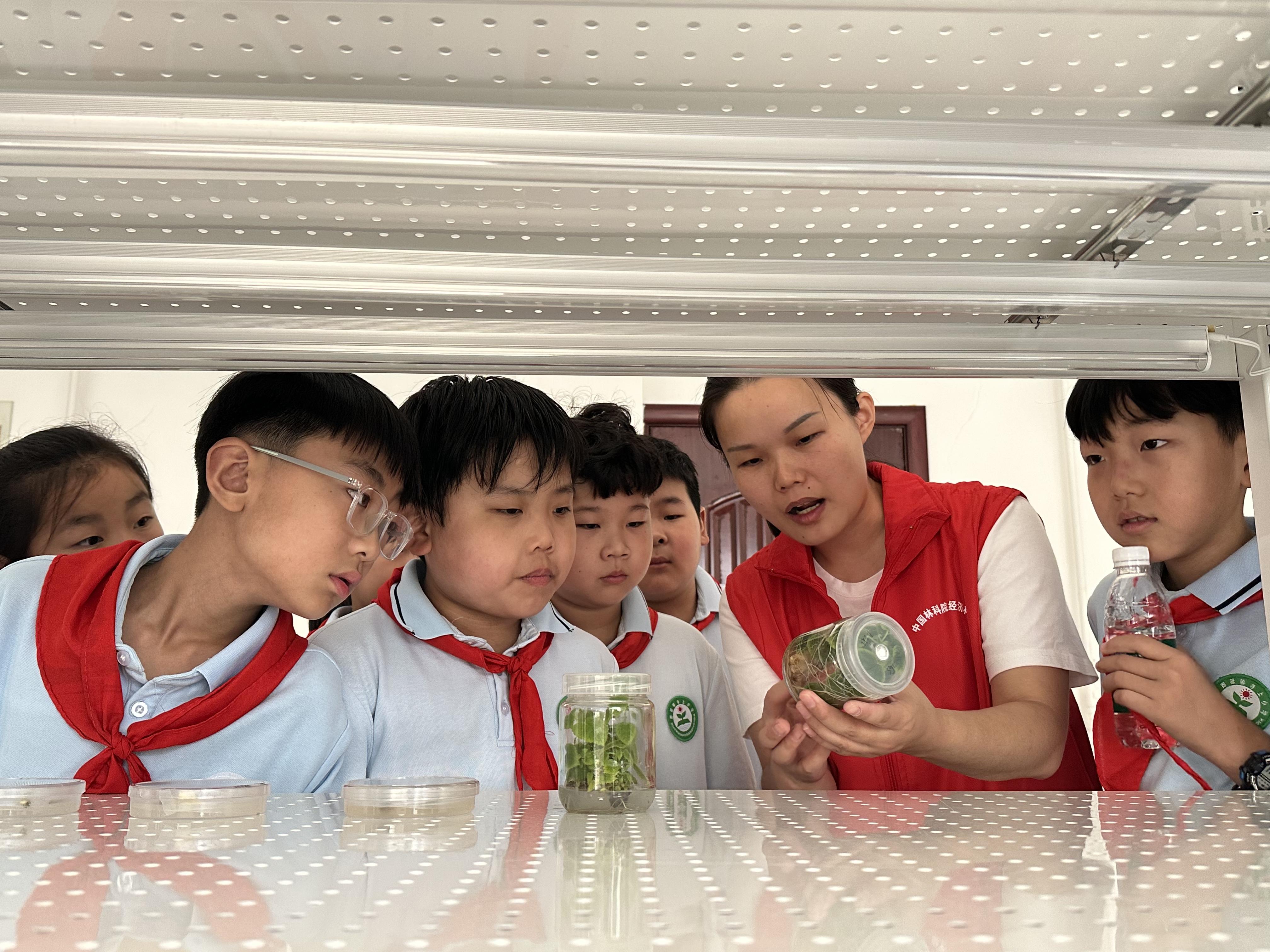 认识“森林食物” 感受科学魅力