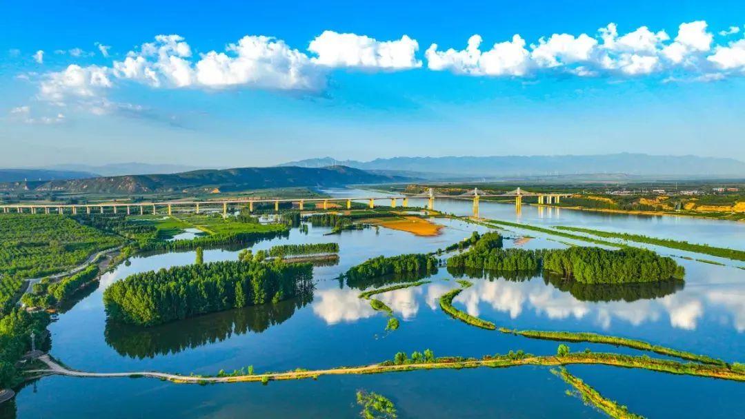 三门峡灵宝：黄河湿地迎来北迁候鸟群