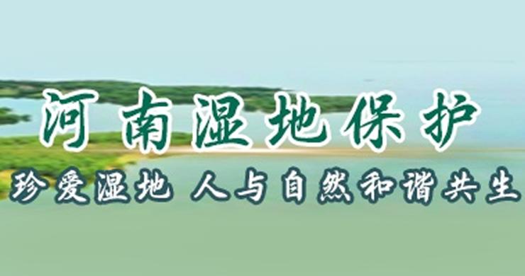 河南湿地保护